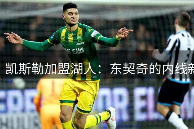 凯斯勒加盟湖人：东契奇的内线新搭档将决定球队上限